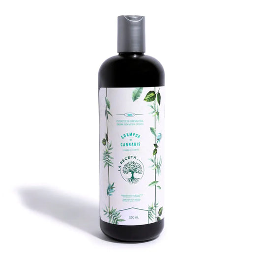 SHAMPOO DE ARGAN CABELLO SECO LA RECETA 500 ML