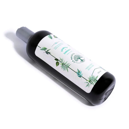 SHAMPOO DE ARGAN CABELLO SECO LA RECETA 500 ML